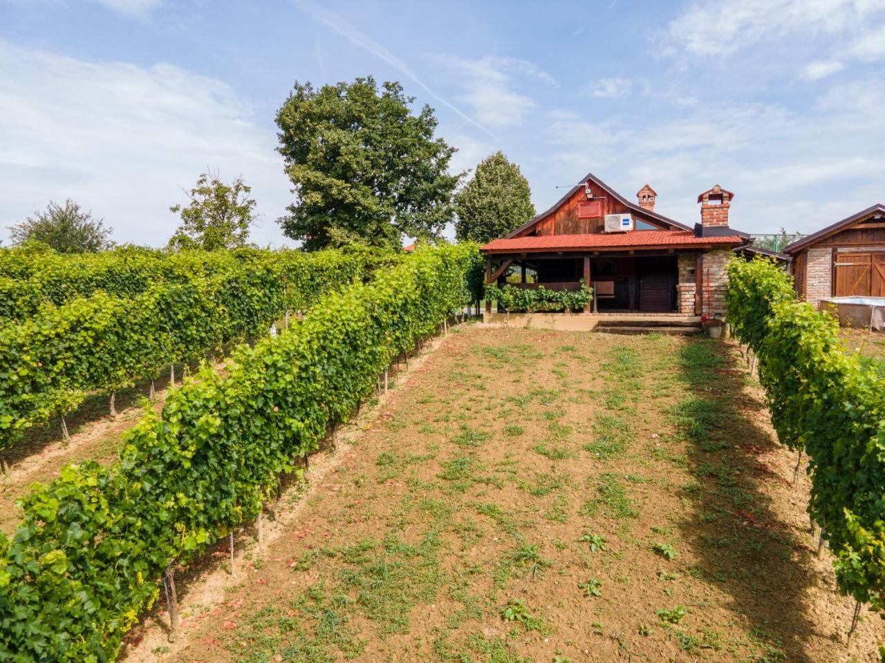 VAL HILLS Rural Holiday House - 6