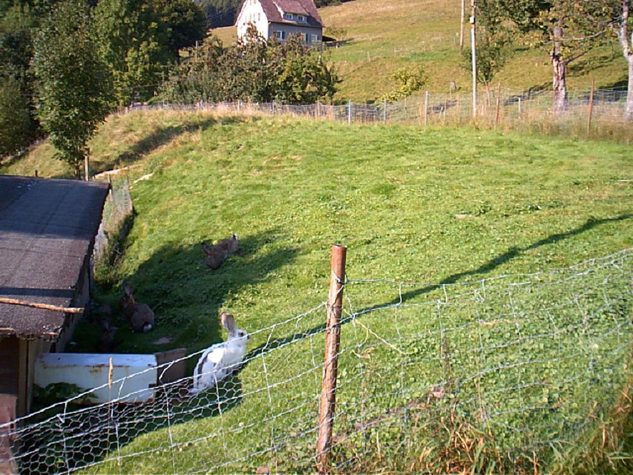 Gasthof Erlenhof photo 3