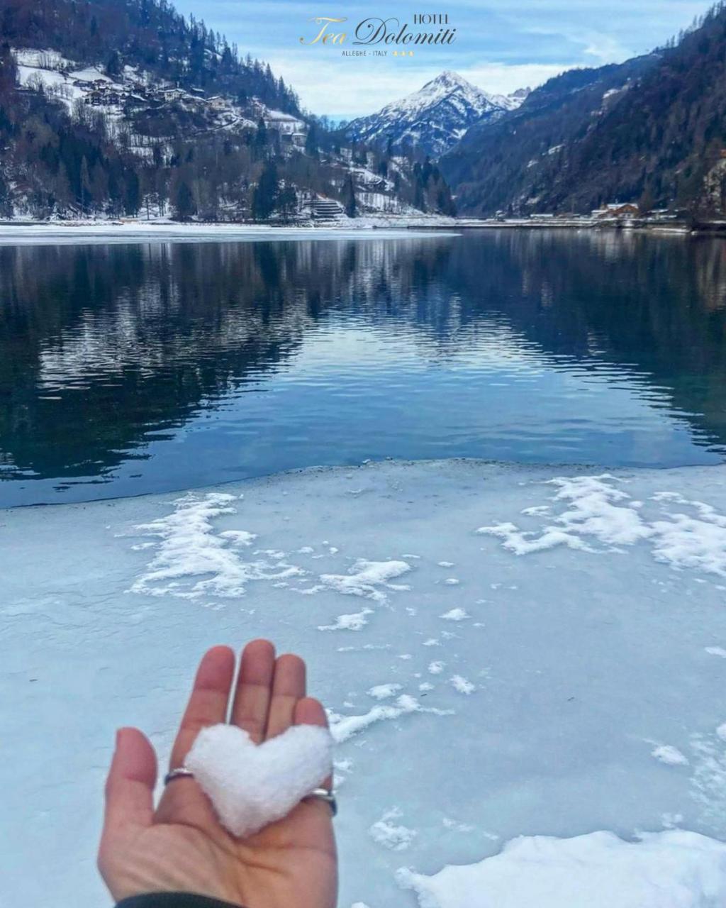 Hotel TEA DOLOMITI - Lago di Alleghe - Monte Civetta photo 4