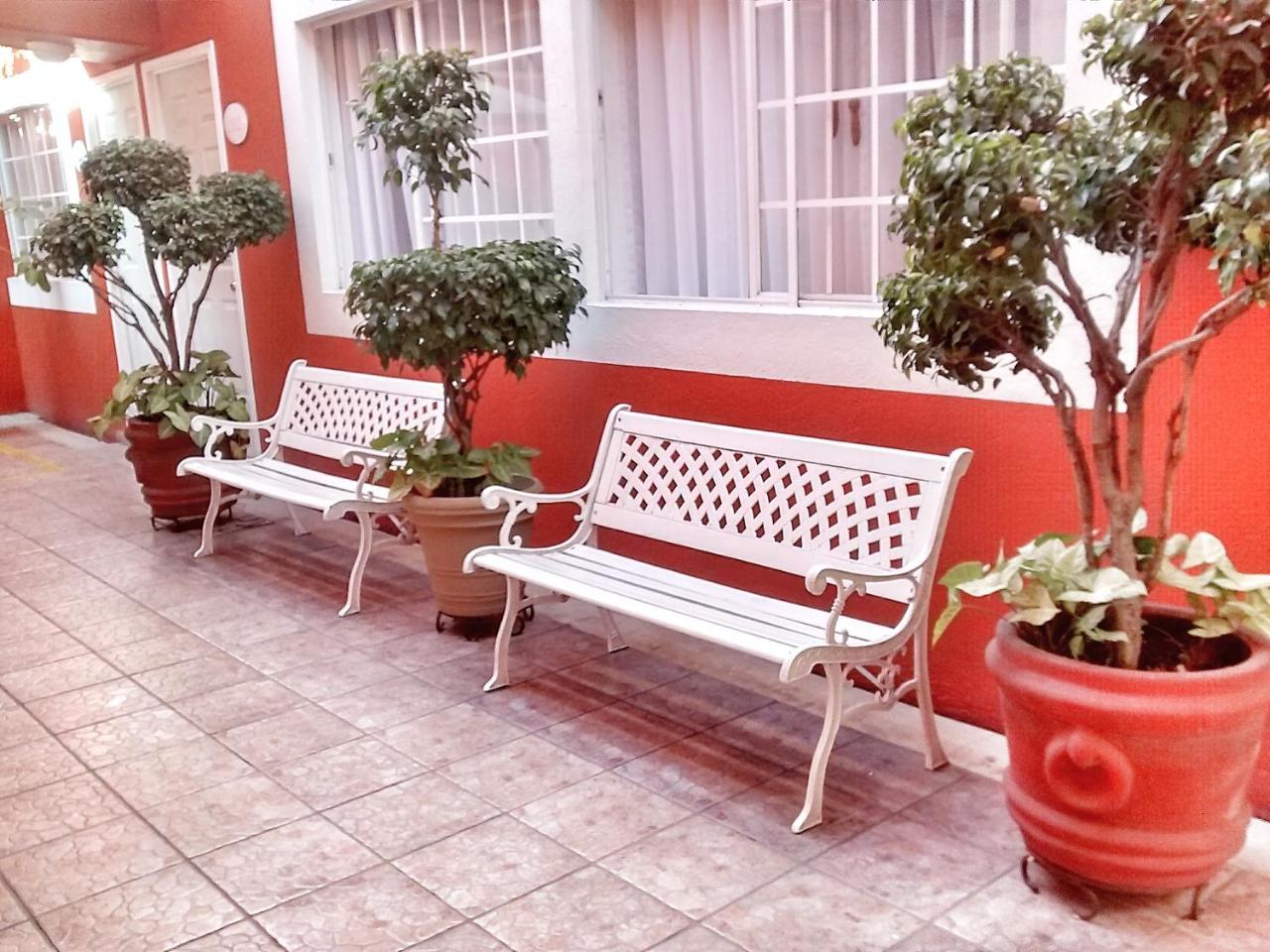 Hotel Camba photo 3