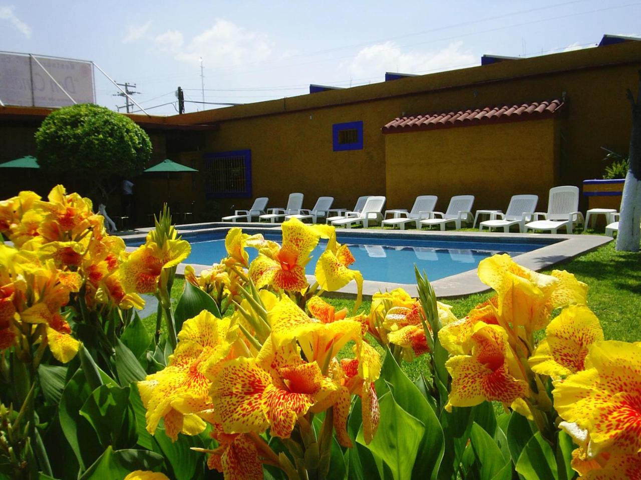 Hotel Hacienda Don Cenobio photo 2