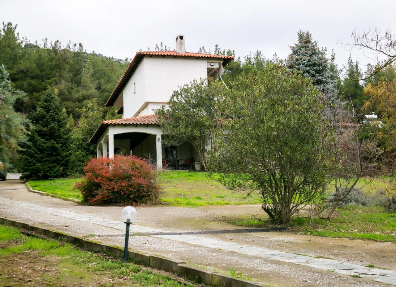 Luxury Chez-Moi - 2
