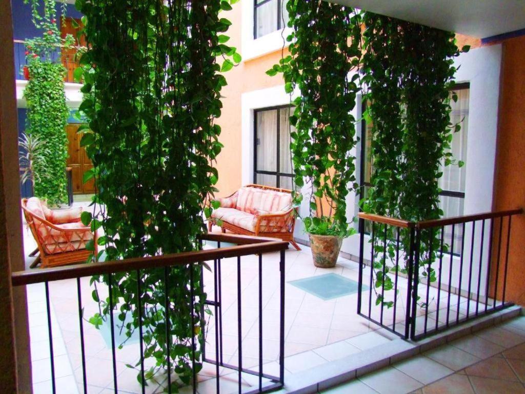 Hotel Oaxaca Dorado photo 2