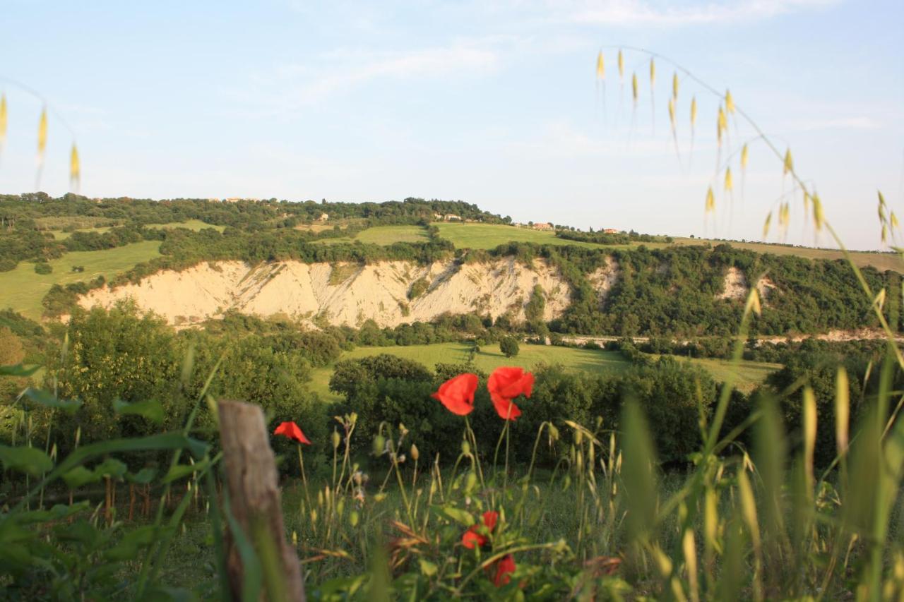 Saturnia Glamping - Seme di Carota photo 4