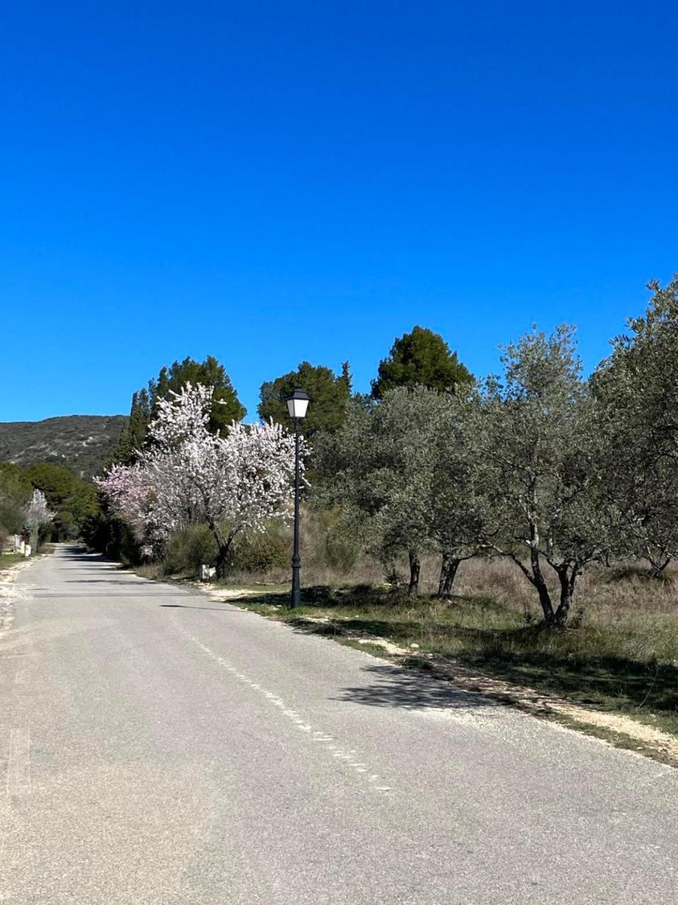 Les jardins de la Gravière à 5 mn de Lourmarin avec piscine privée - 5