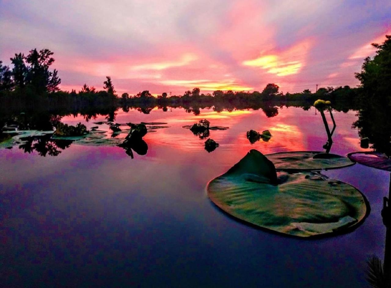 Cape Coral Wildlife Views-Heated Pool-Pet Friendly - 5
