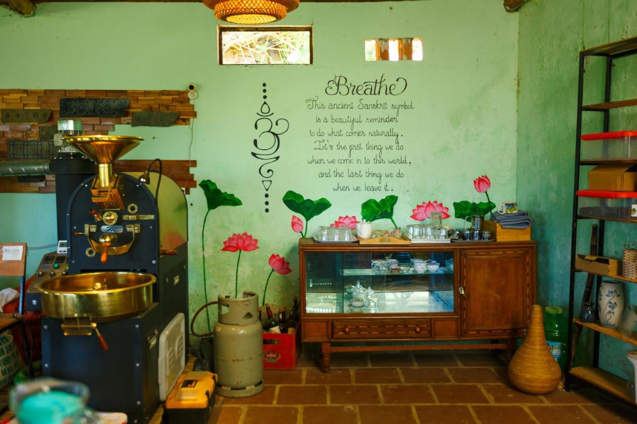 Midori Heritage Coffee Farm photo 4
