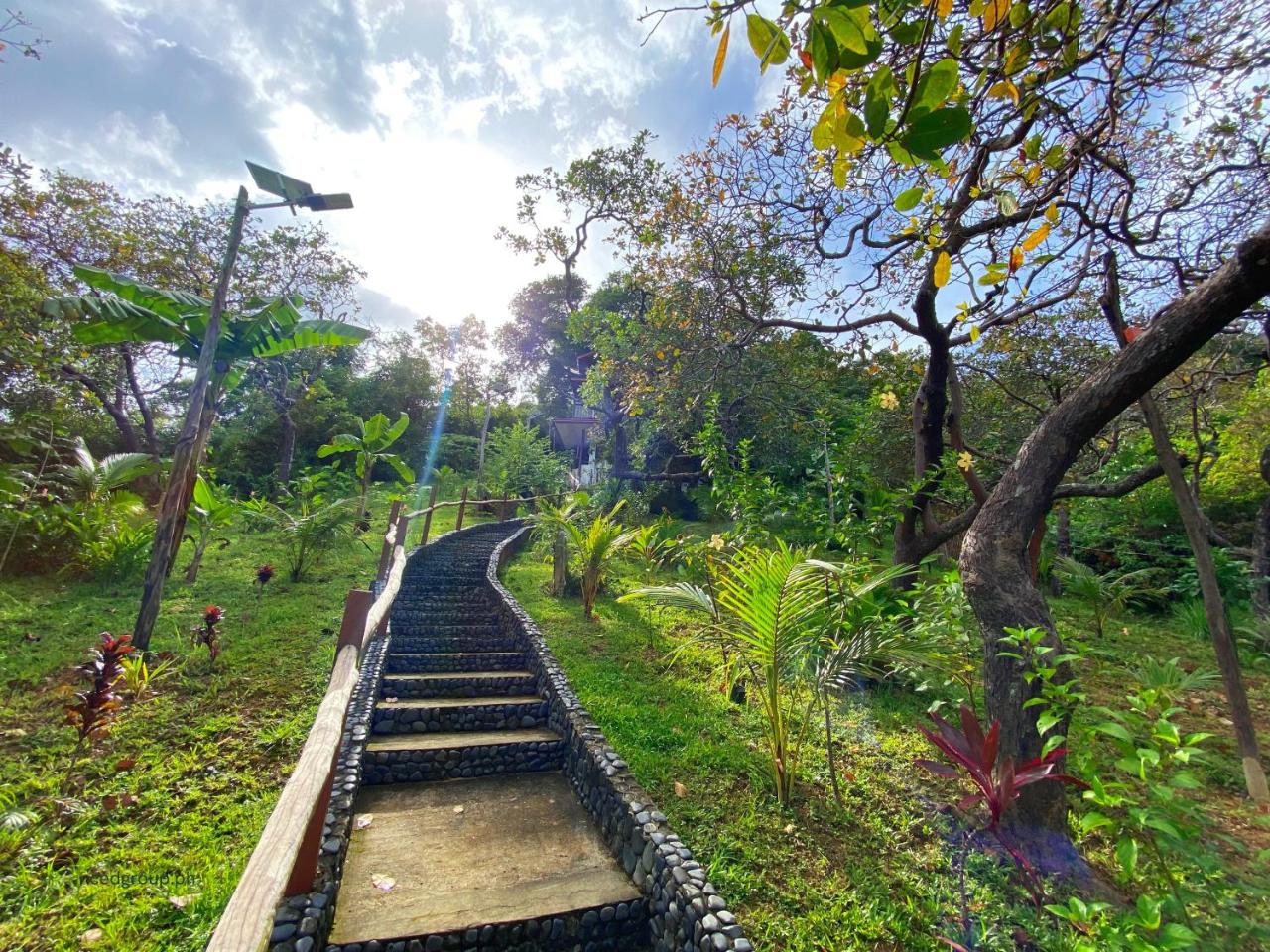 Photo - CED Garden