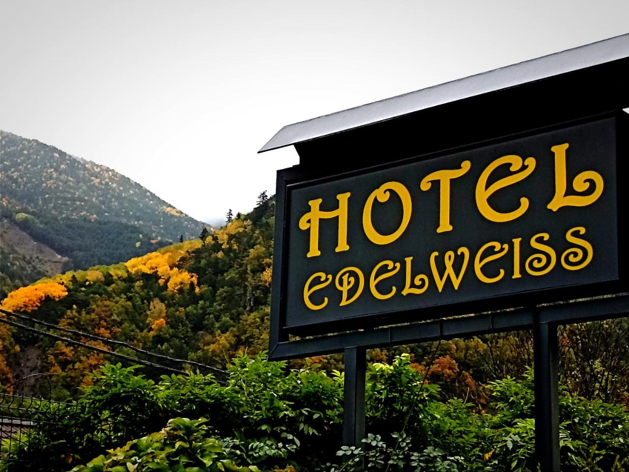Edelweiss Hotel photo 3