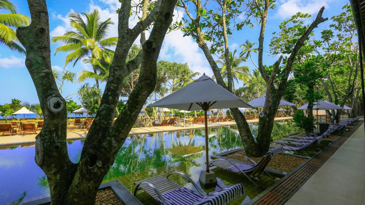 Pandanus Beach Resort & Spa photo 3