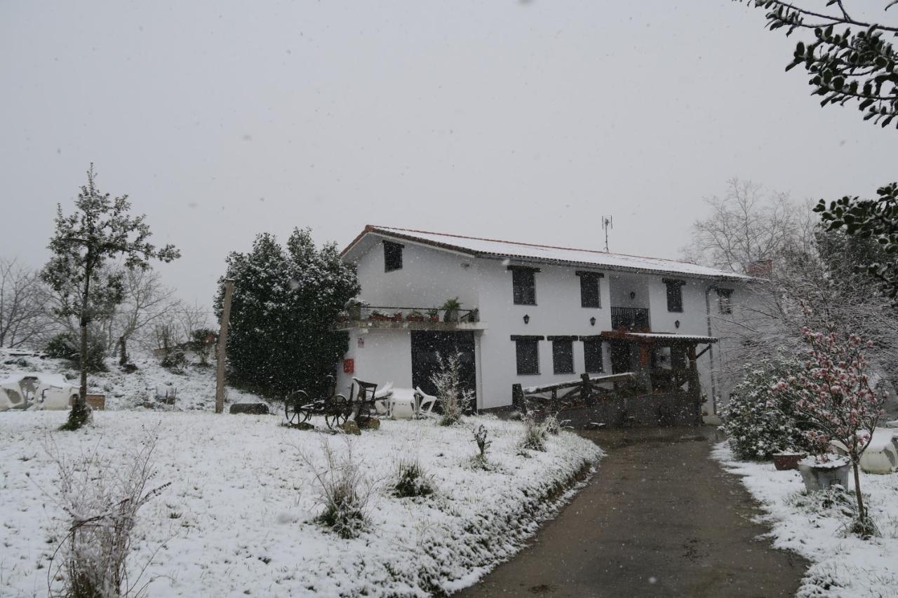 Balentziaga photo 4