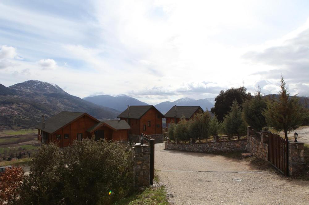 Pasithea Mountain Chalet photo 3