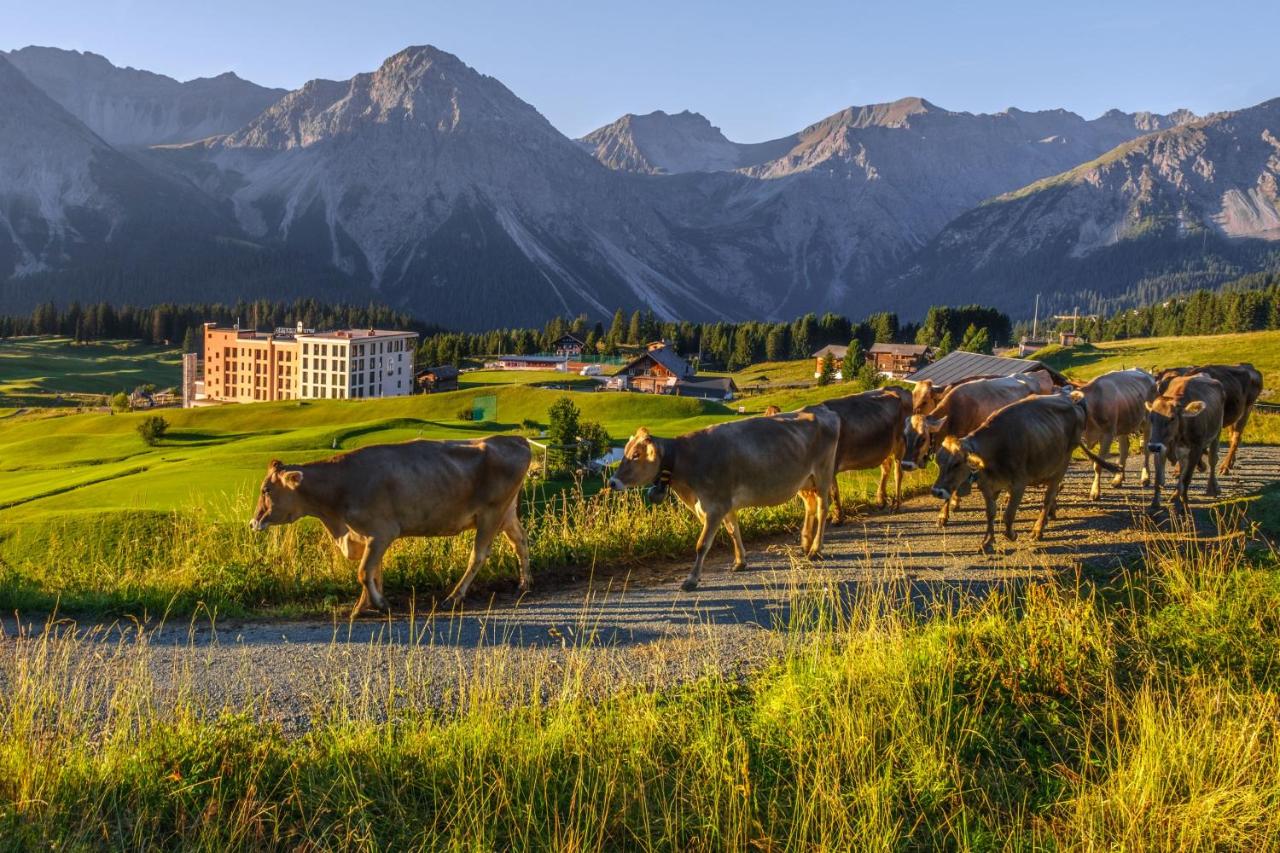Golf- & Sporthotel Hof Maran - 6