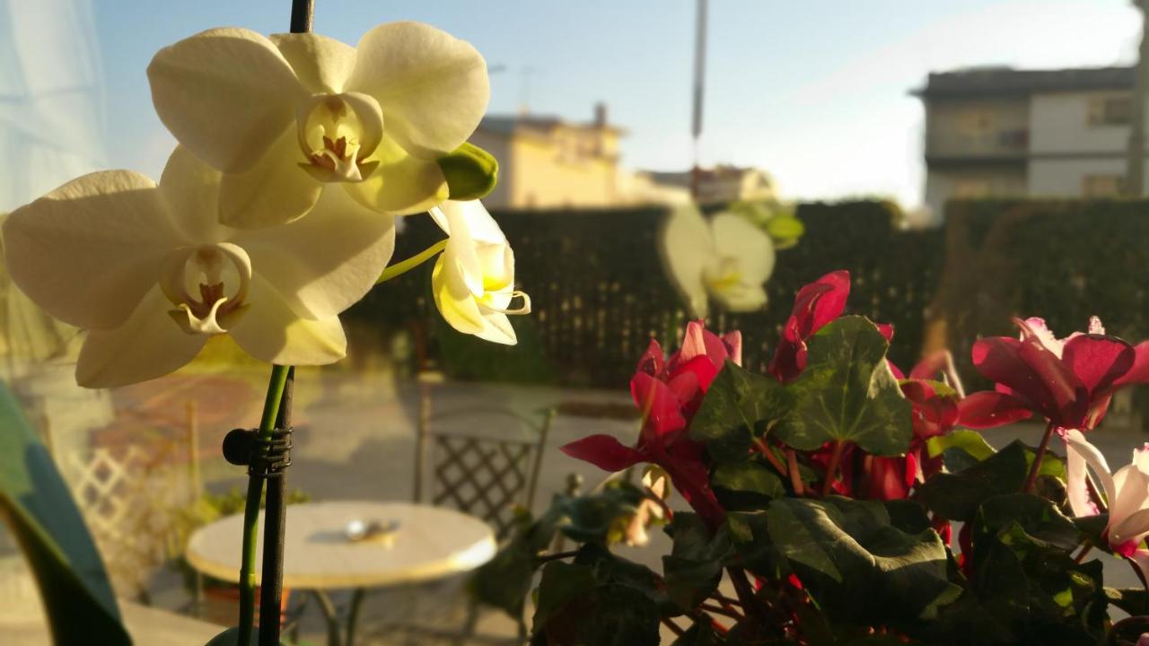 Hotel Villa Truentum photo 3
