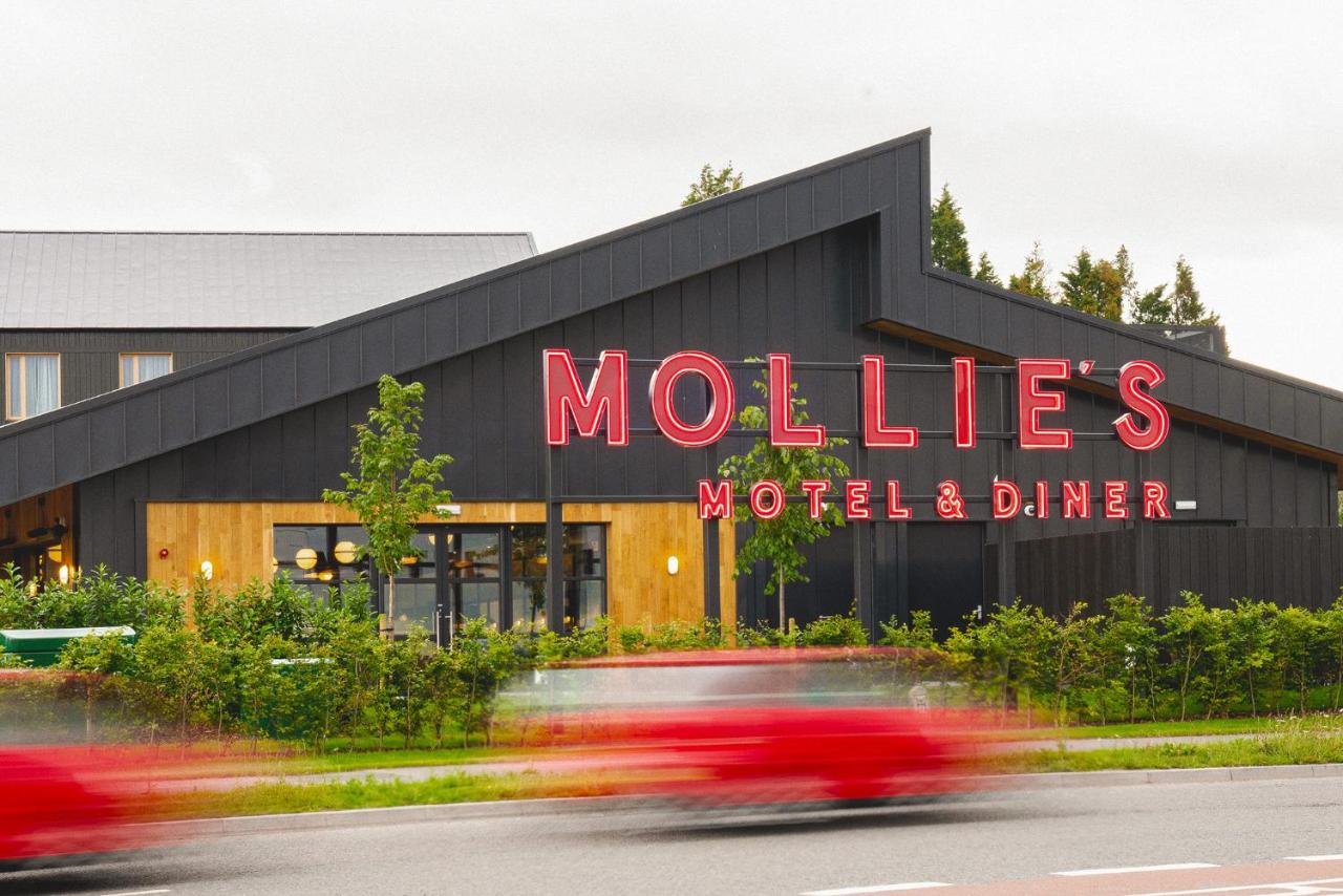 Mollie's Bristol - 5