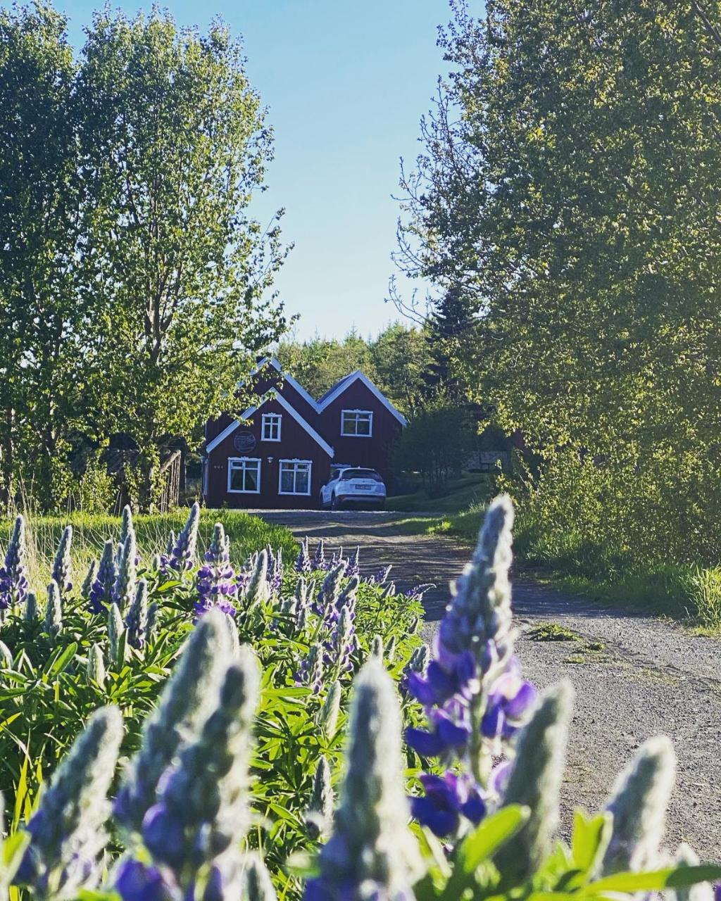 Hengifosslodge Skáldahús - 3