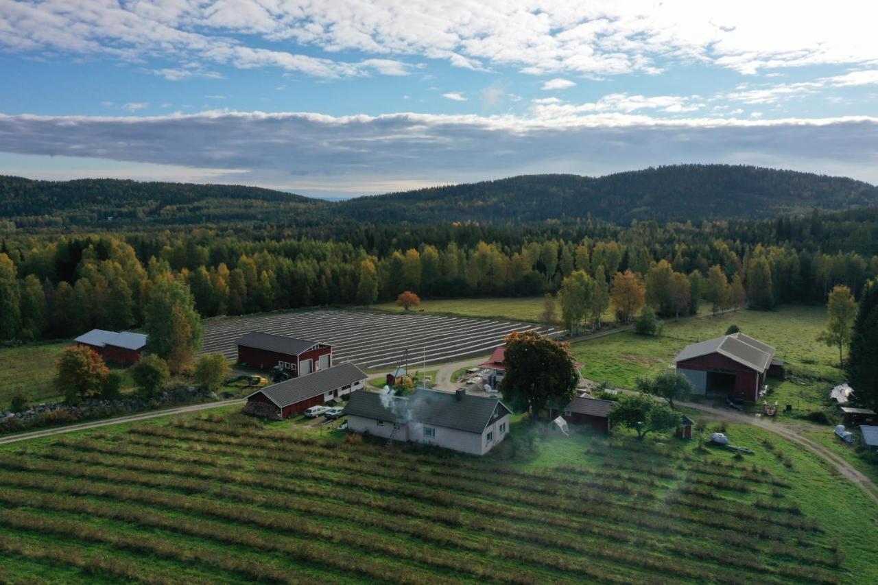 Maatilamatkailu Jänisvaara