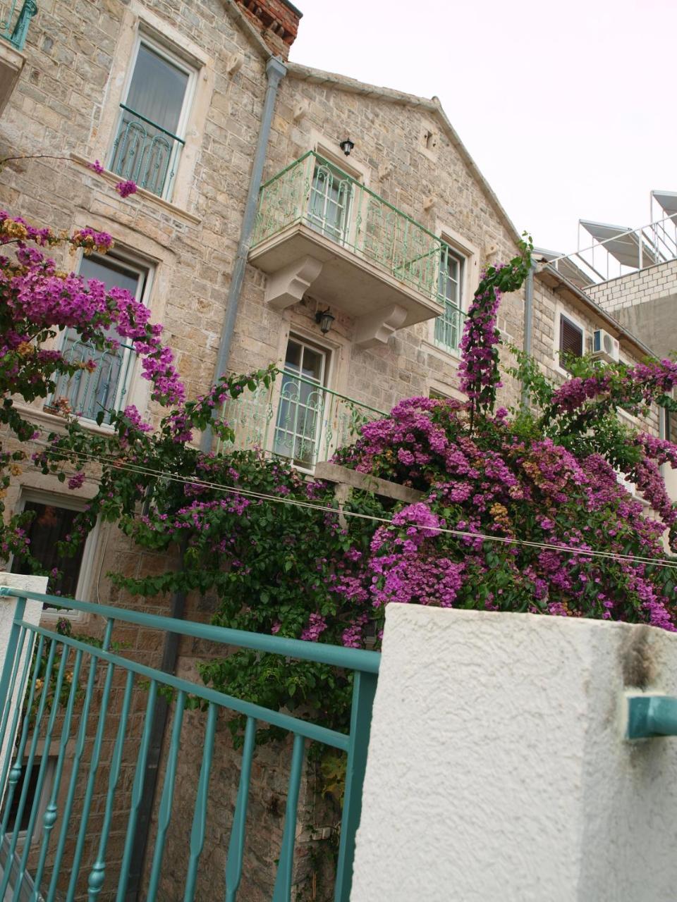 Apartments Obala - Dragović - 6