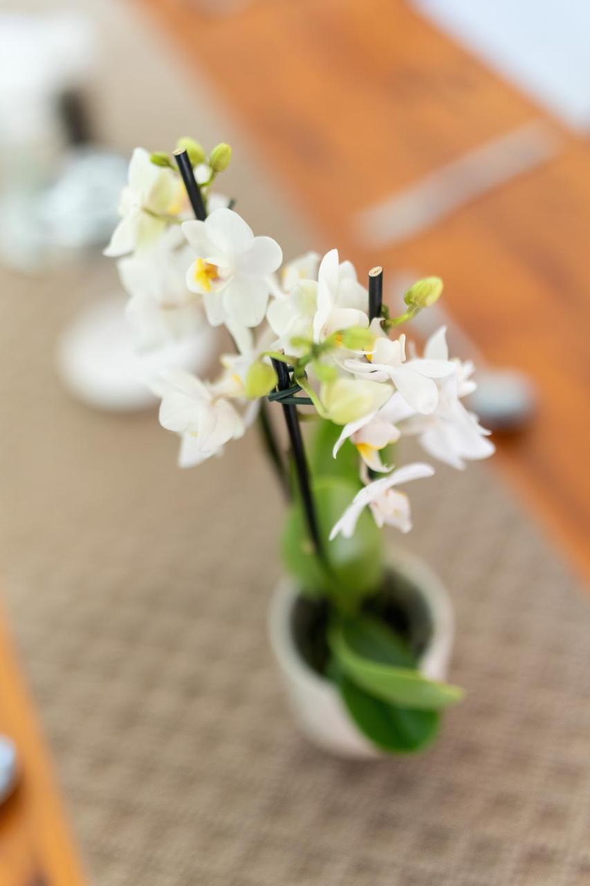 Foto - Faraway Lodge