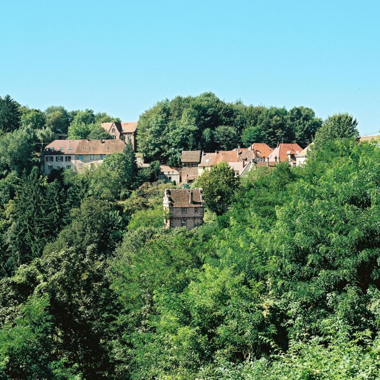 La Clairière bio & spahotel photo 2