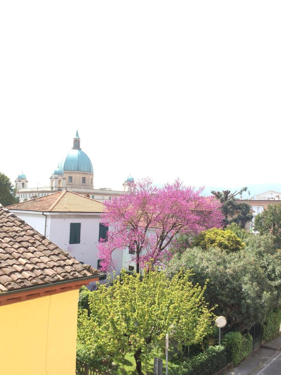 Hotel Stipino photo 3