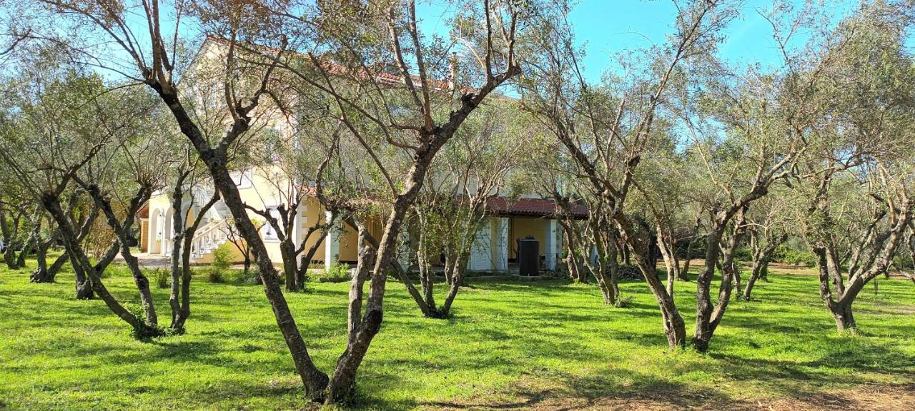 Antonios Olive Garden Acharavi Kerkyra - 2