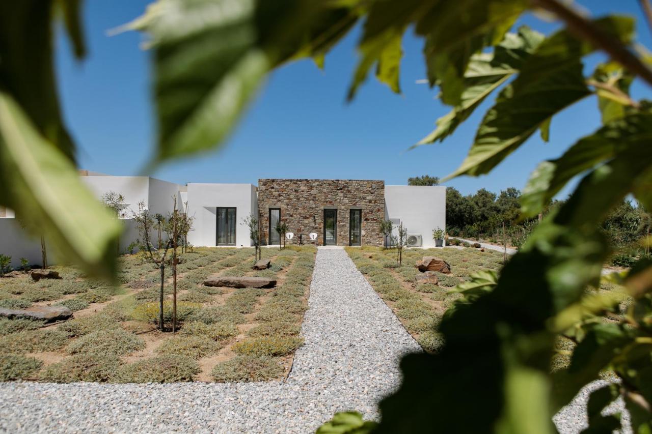 STONE VILLA NAXOS - 2