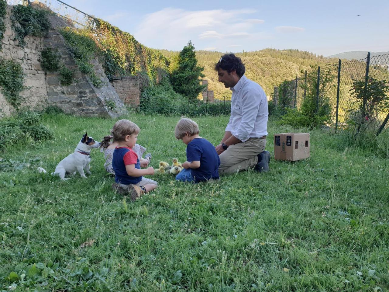 Fattoria di Maiano photo 2