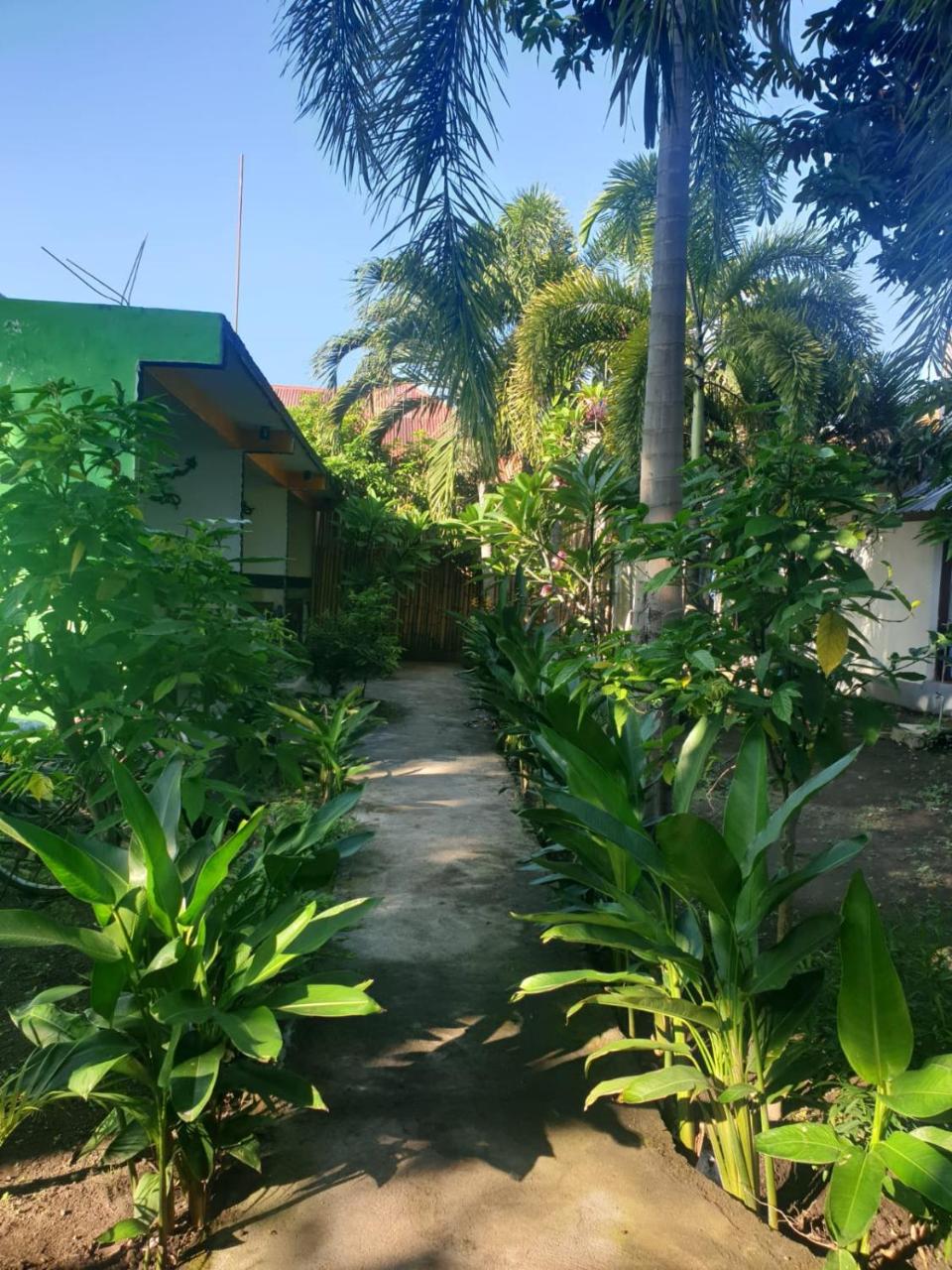 Five Time Homestay photo 4