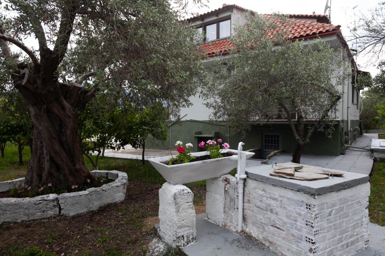 Villa Alex - 6