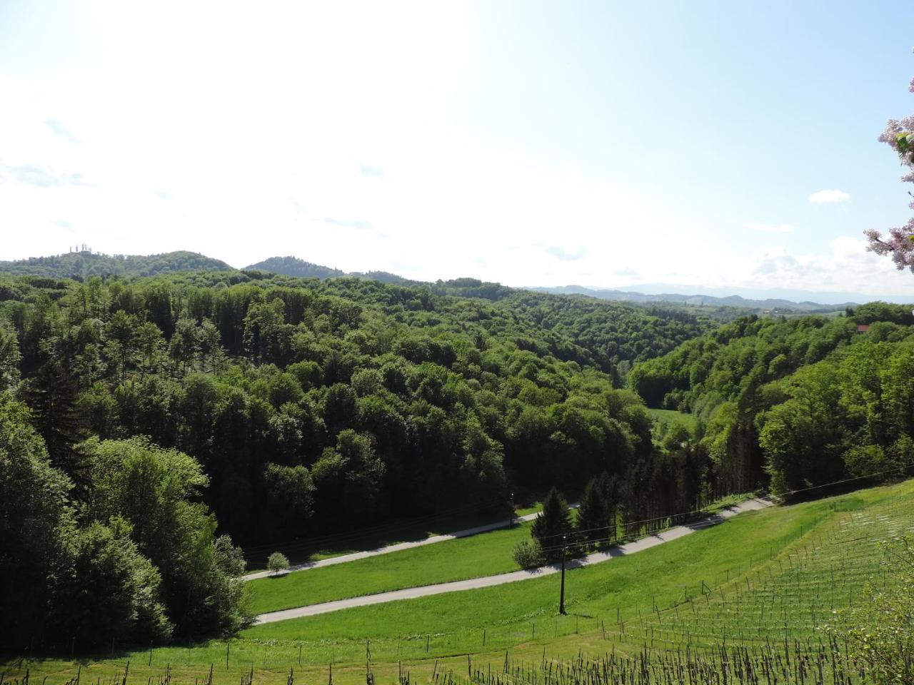 Weingut Gästezimmer Gruber photo 3