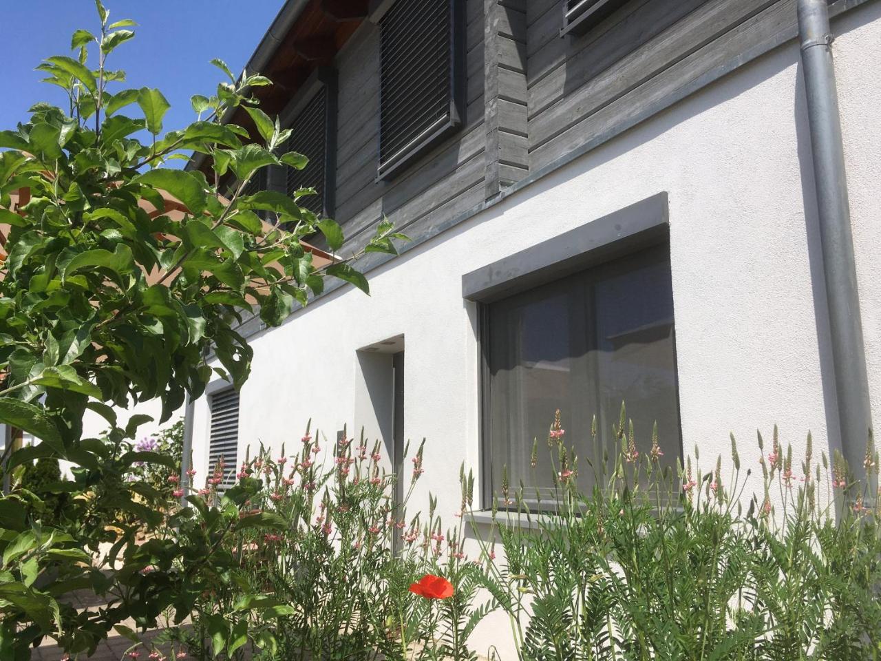 SweetSuites 40A Lavendelhaus - 3