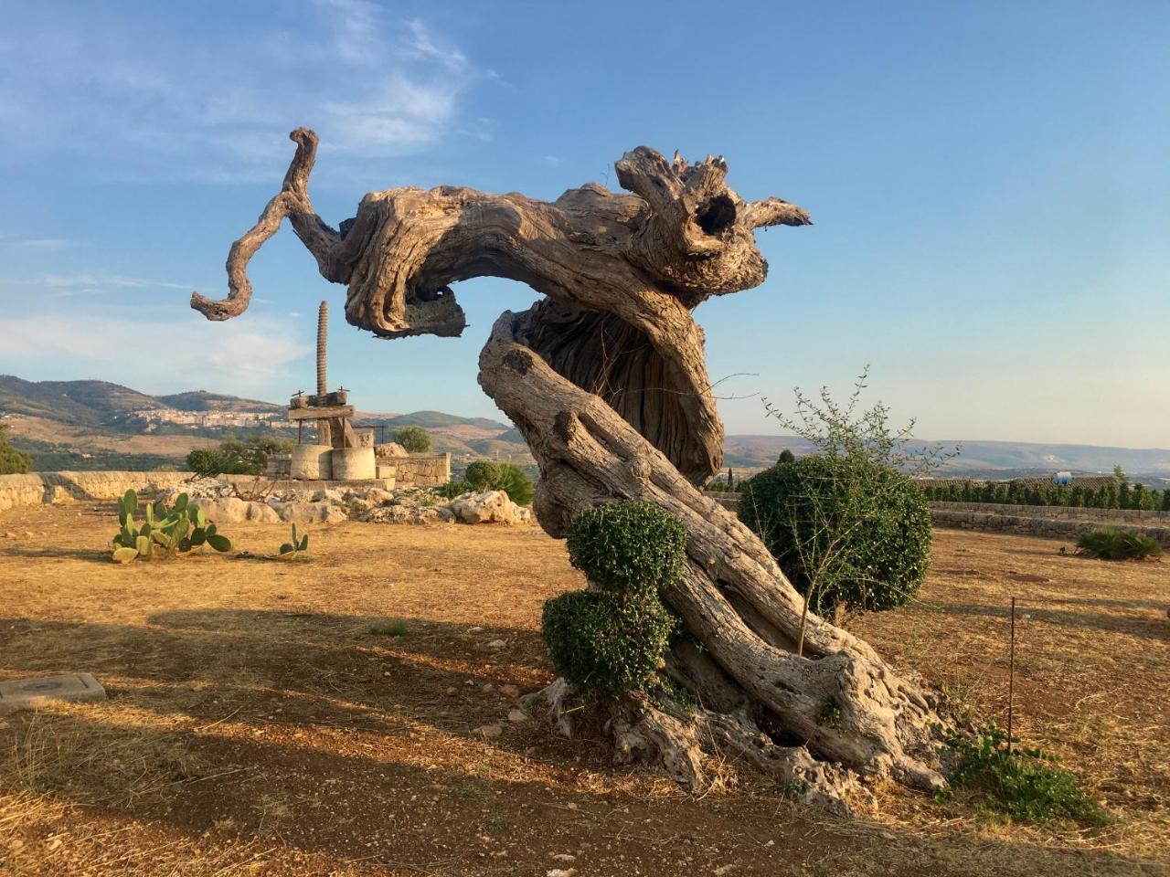 Foto - Locanda Gulfi