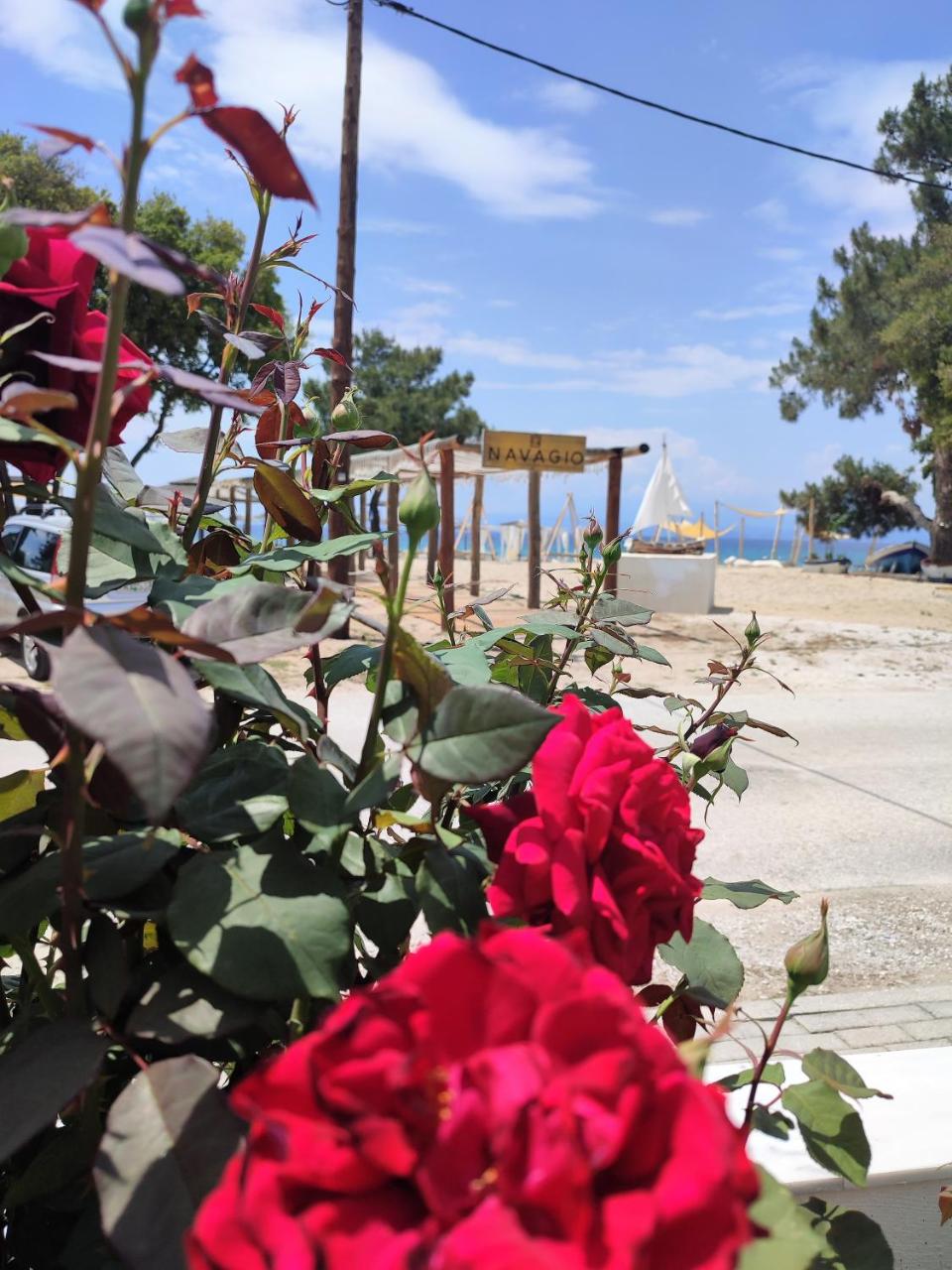 Thasos Blue Apartments - 2