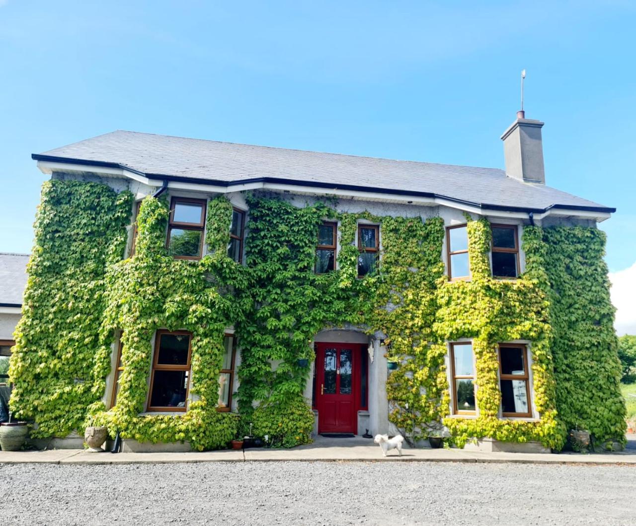 The Garden Gates Guest Accommodation - 2