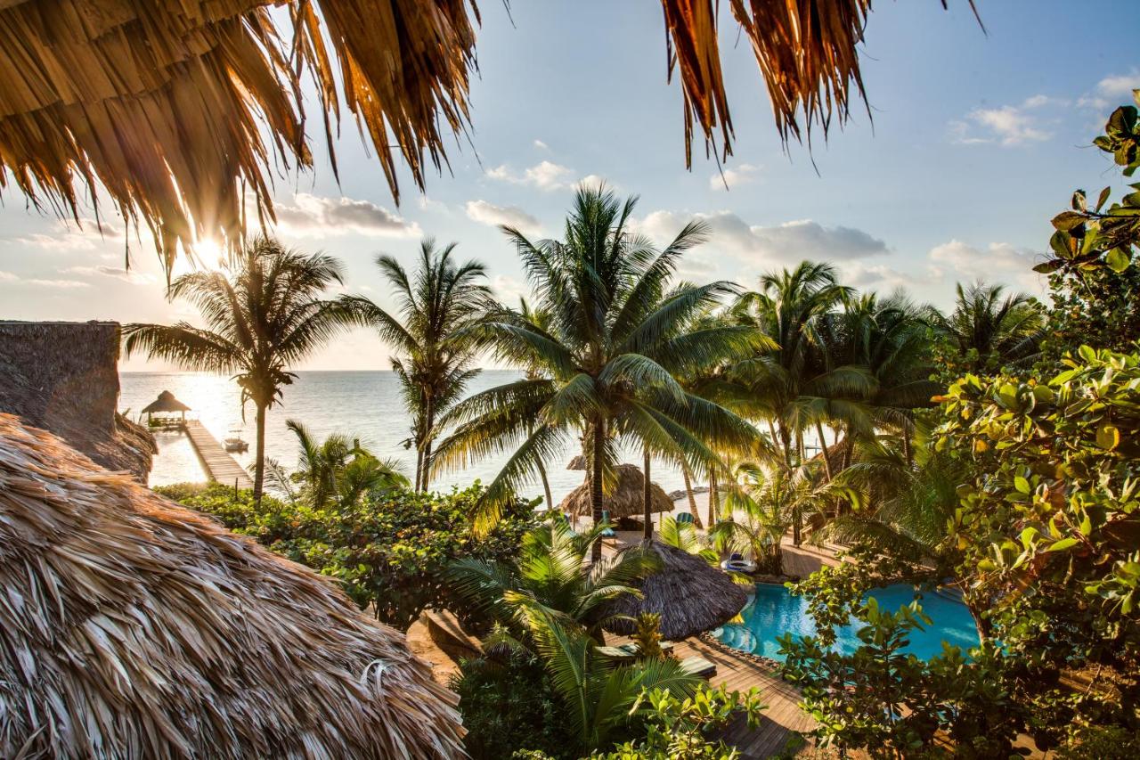 Xanadu Island Resort photo 4