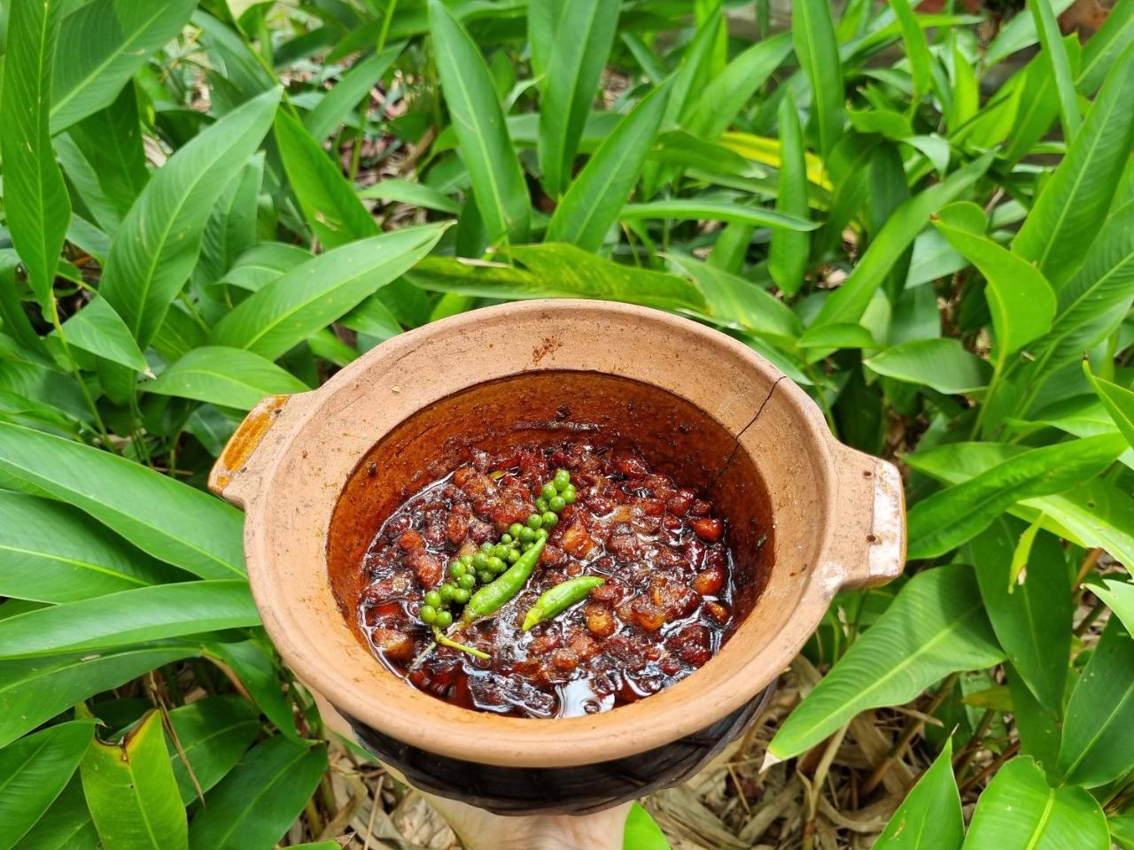 Ba Danh Homestay & Kitchen - Ben Tre Mekong photo 2