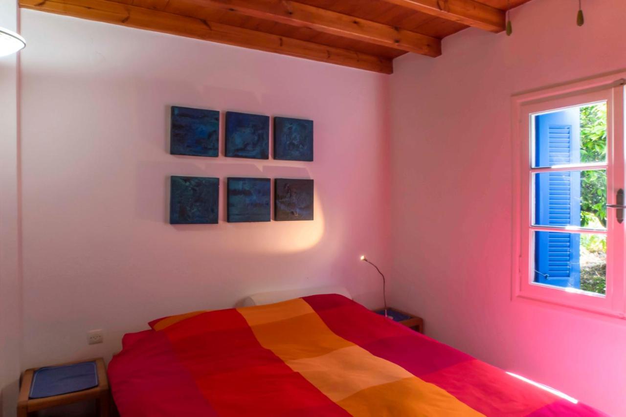 Phlea Farm Studios - 6
