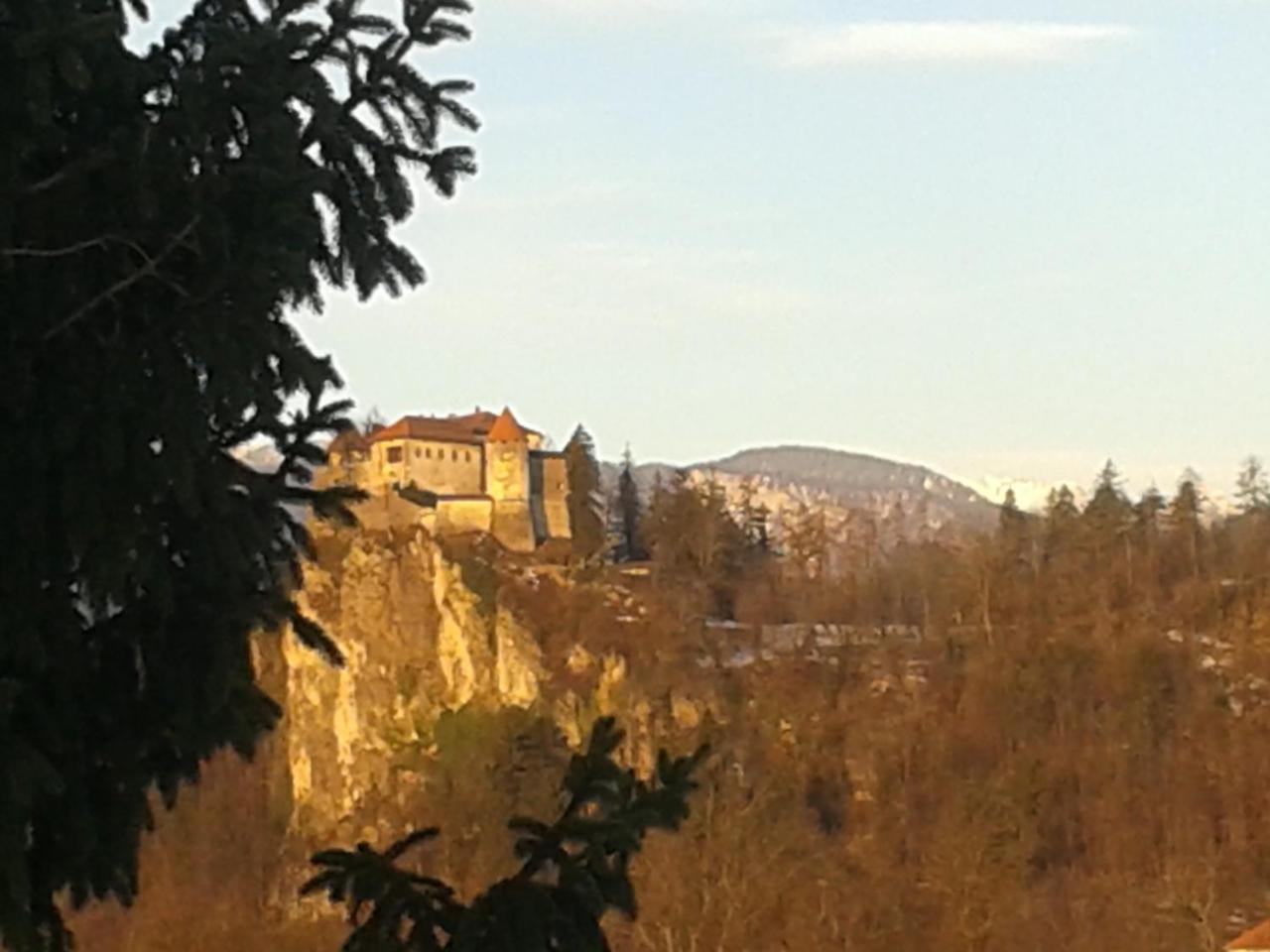 Photo - Hotel Vila Bojana