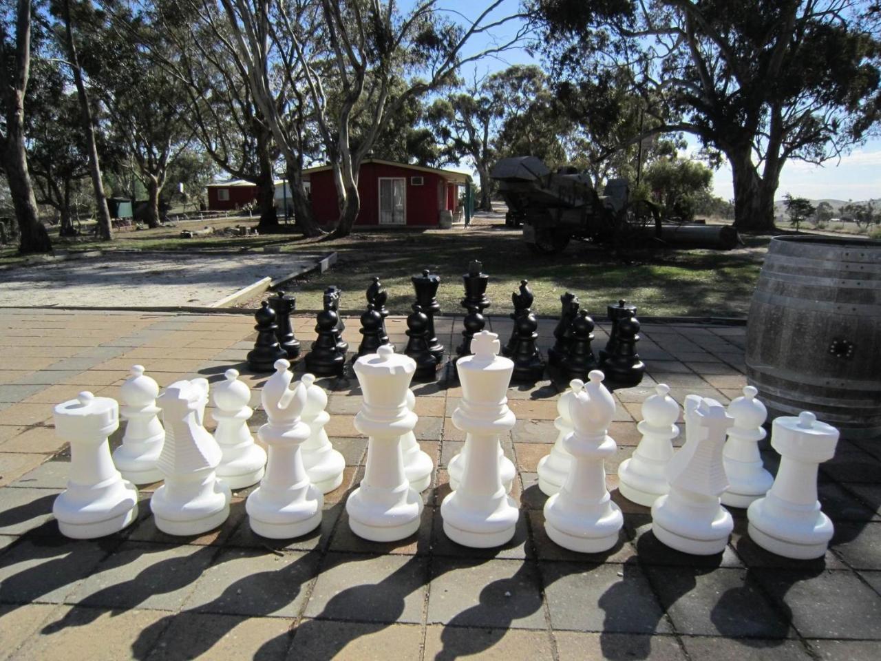Clare Valley Cabins photo 2