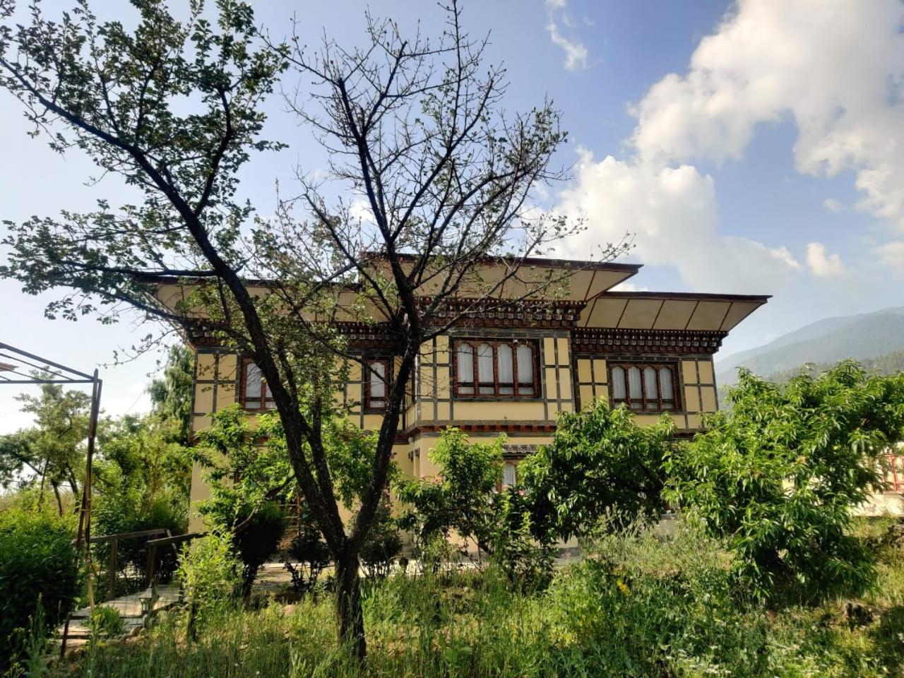 Nirvana Lodge