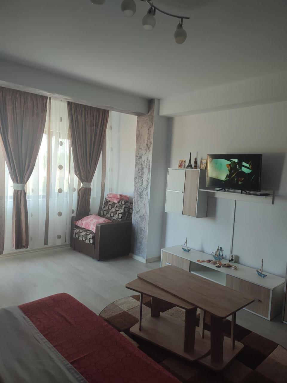 Garsonieră SORIN - 4