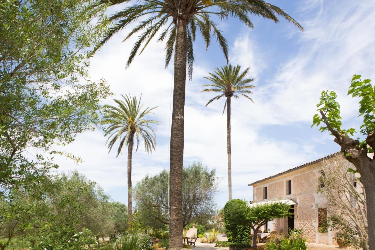 Agroturismo Es Pla De Llodrá photo 3