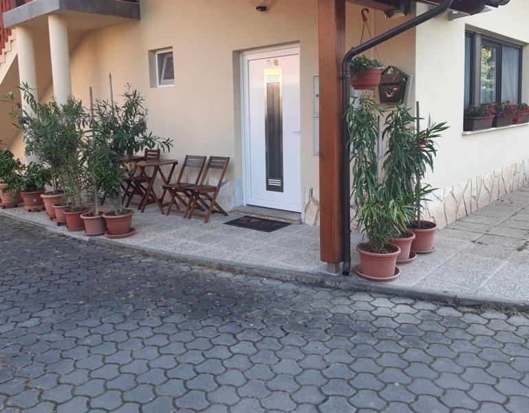 Apartma Lahinja - 3