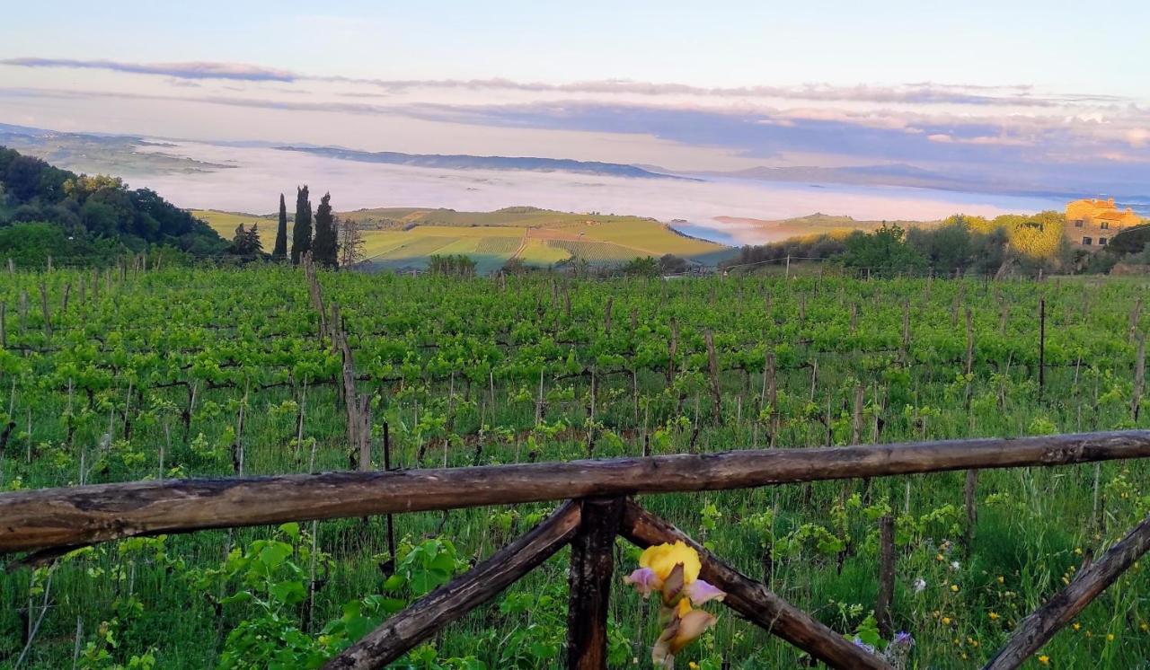 Castel Brunello - 6