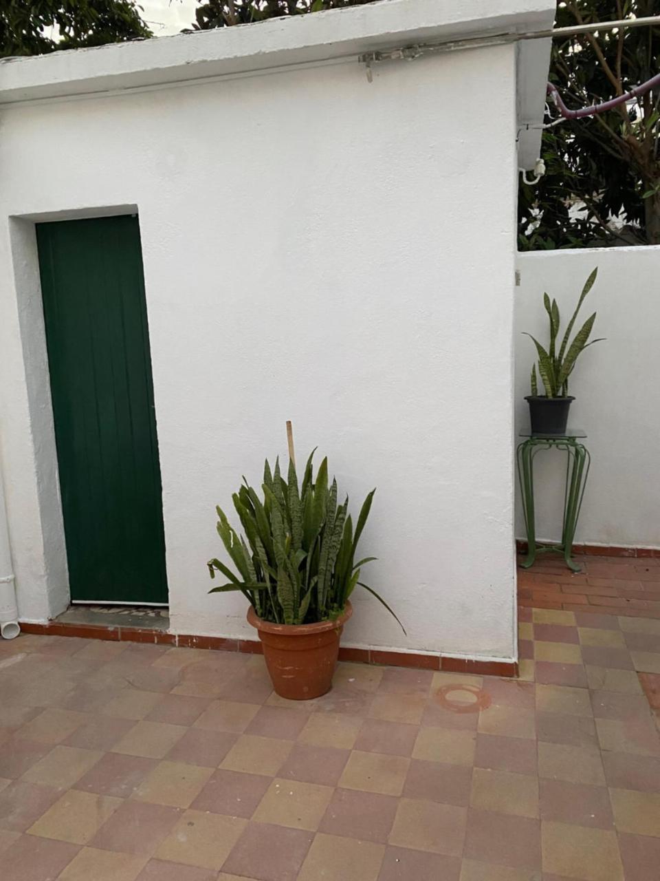 Foto - The Tiles House