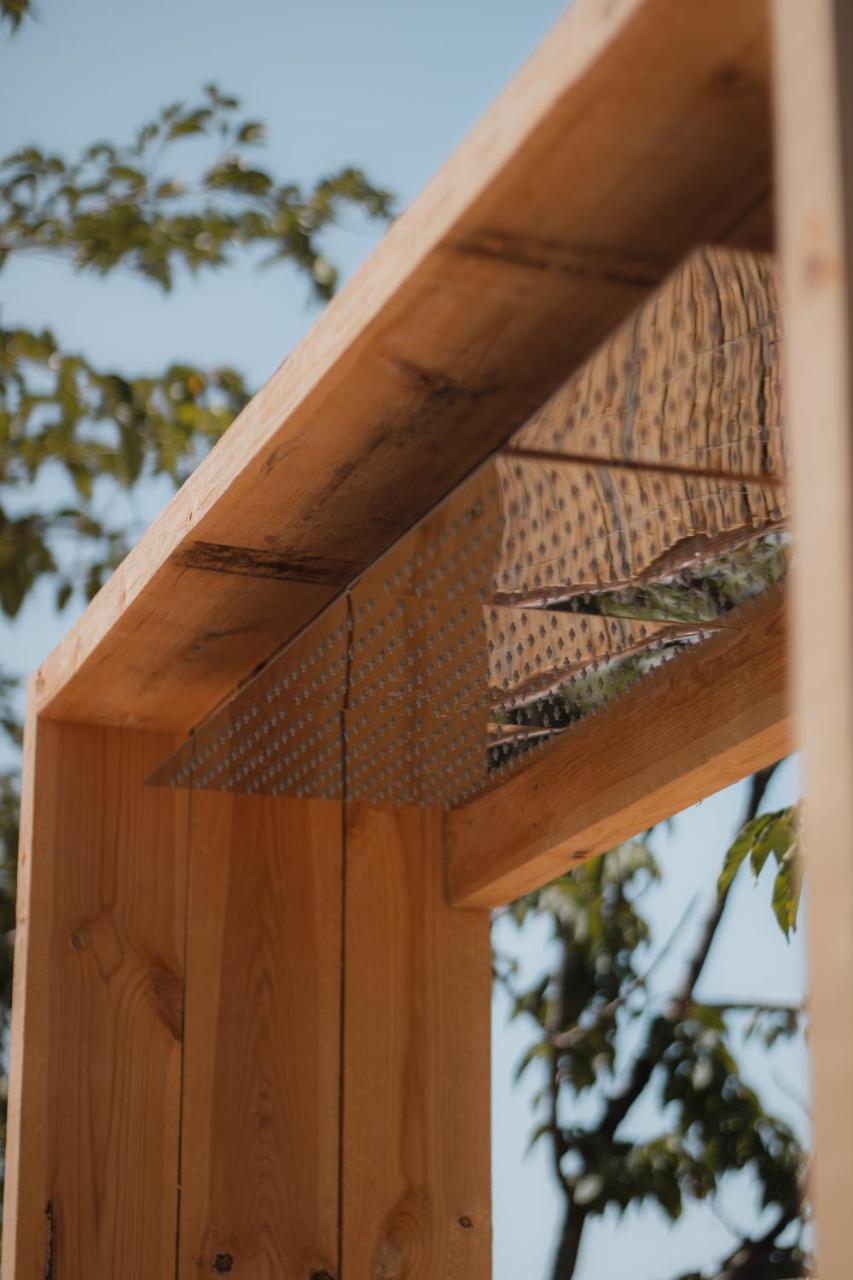 Fuente del Lobo Glamping & Bungalows - Adults Only photo 2