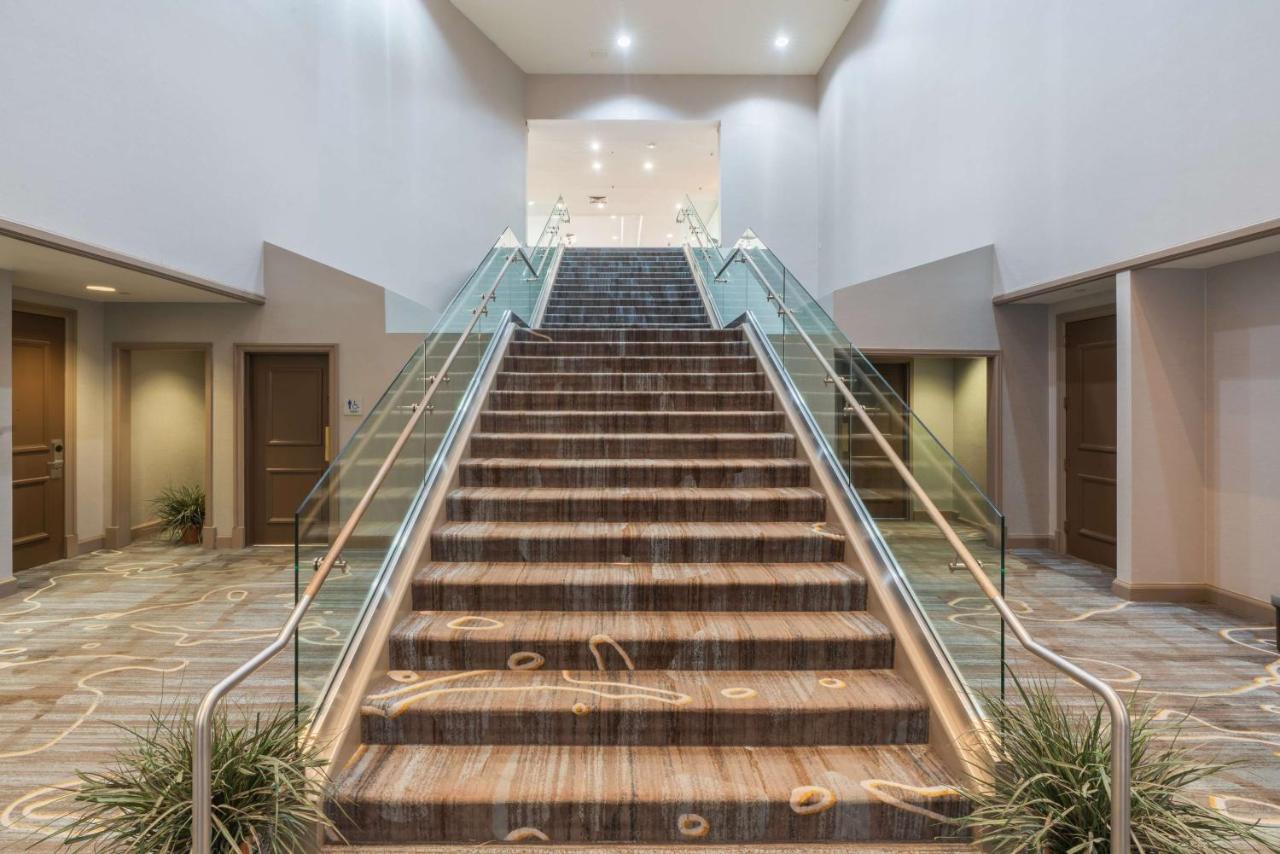 Foto - Hilton Memphis