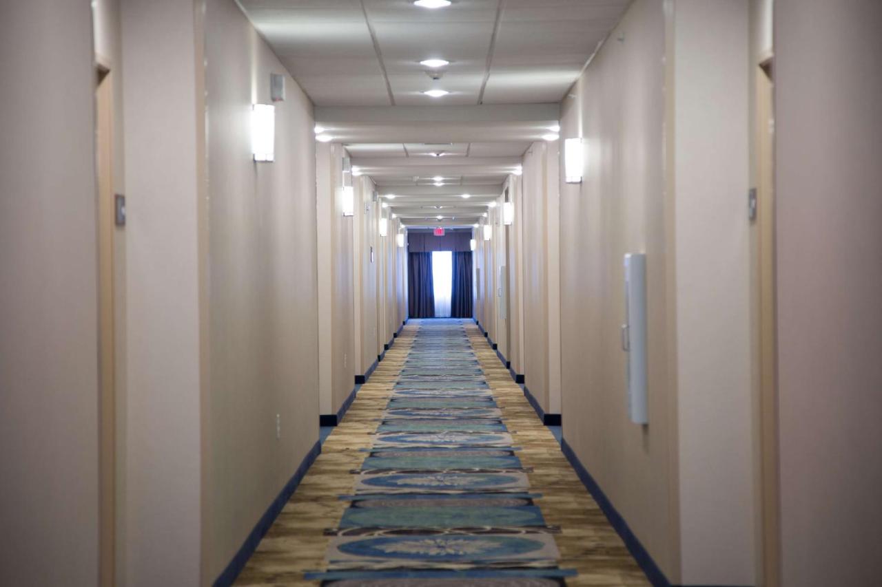 Hampton Inn & Suites McKinney photo 4