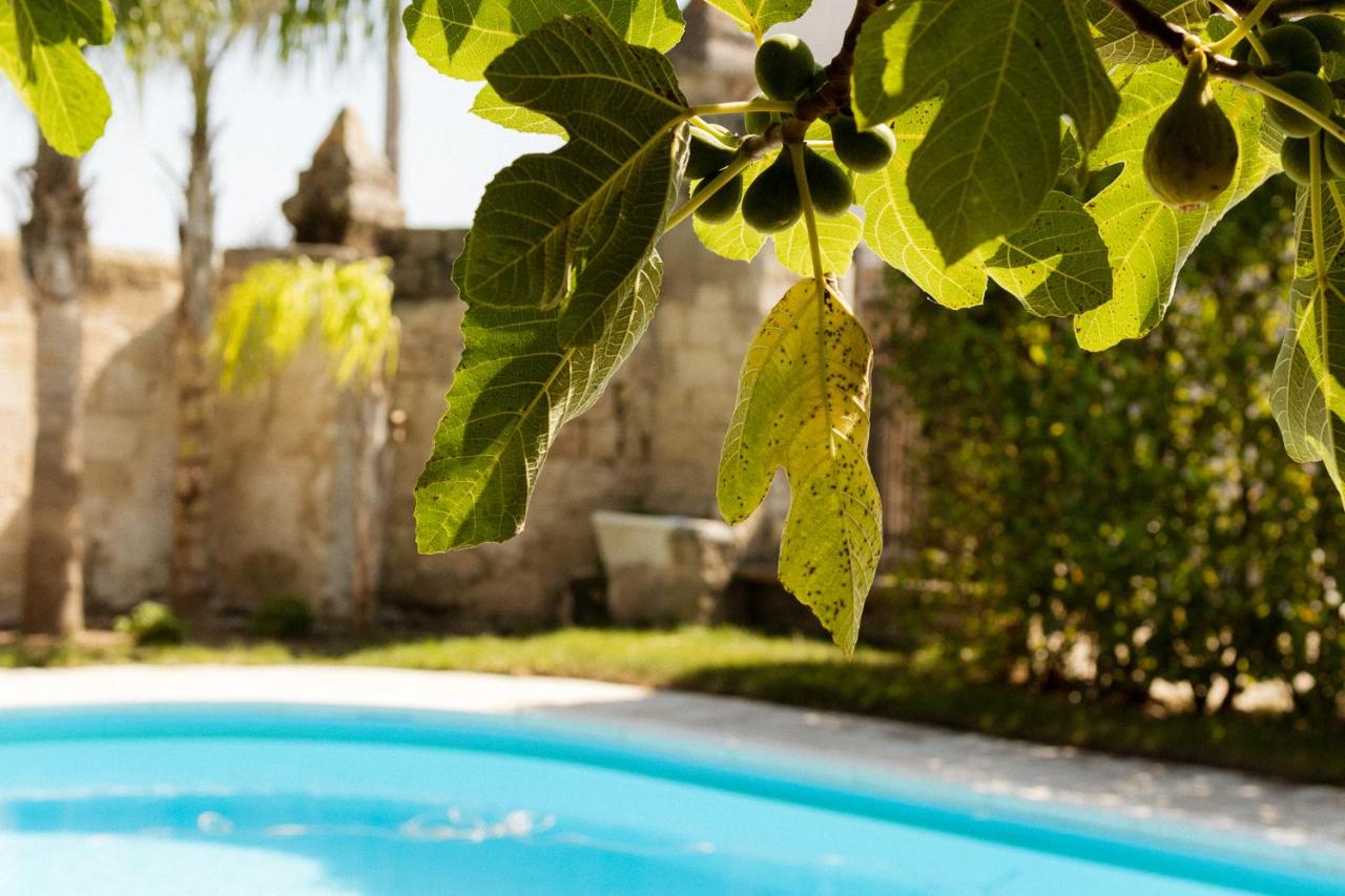 Casale alle Vigne - 2